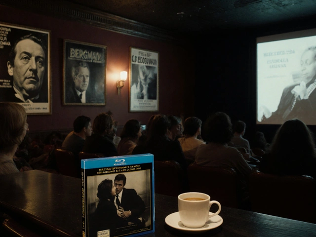 Best International Film Distributors for Arthouse Cinema