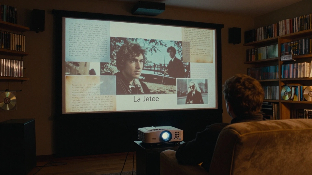 Kino Film Collection Curation: How Niche Streaming Platforms Serve Cinephile Audiences