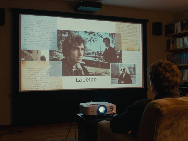 Kino Film Collection Curation: How Niche Streaming Platforms Serve Cinephile Audiences