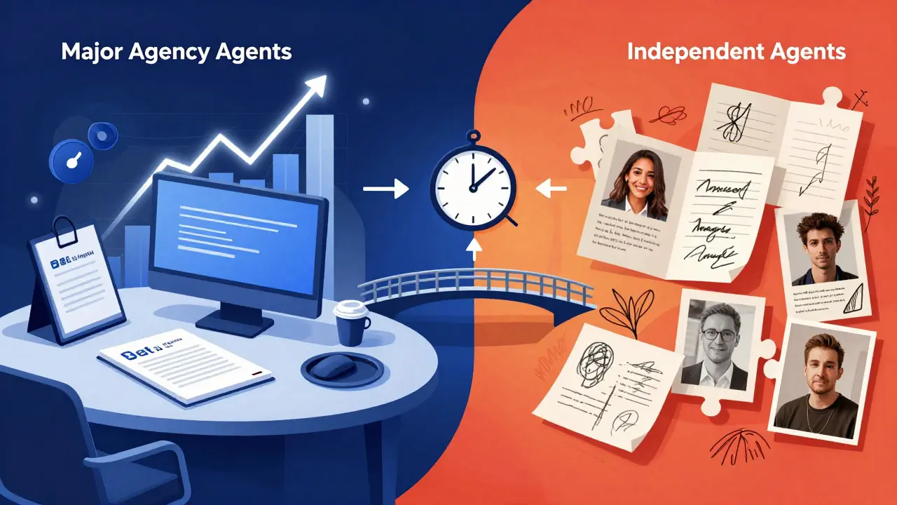 Conceptual art illustrating the strategic differences between major and independent agents