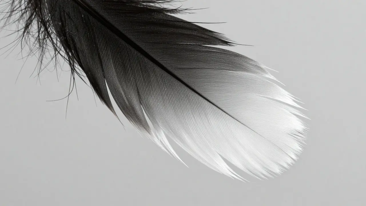 Macro shot of a hair strand showing a soft, transparent edge transition typical of rotoscoping masks.
