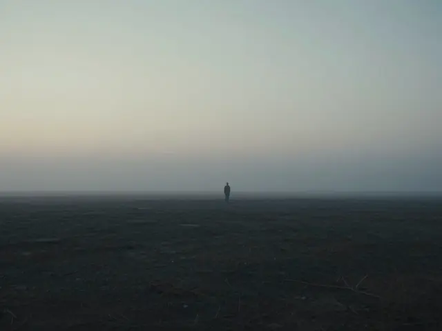 Art Films and Experimental Cinema: A Guide to Exploring New Aesthetics